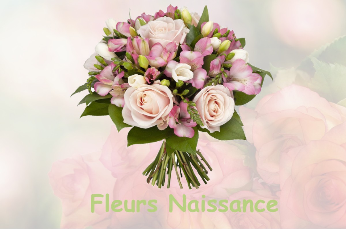 fleurs naissance HAUCOURT-EN-CAMBRESIS