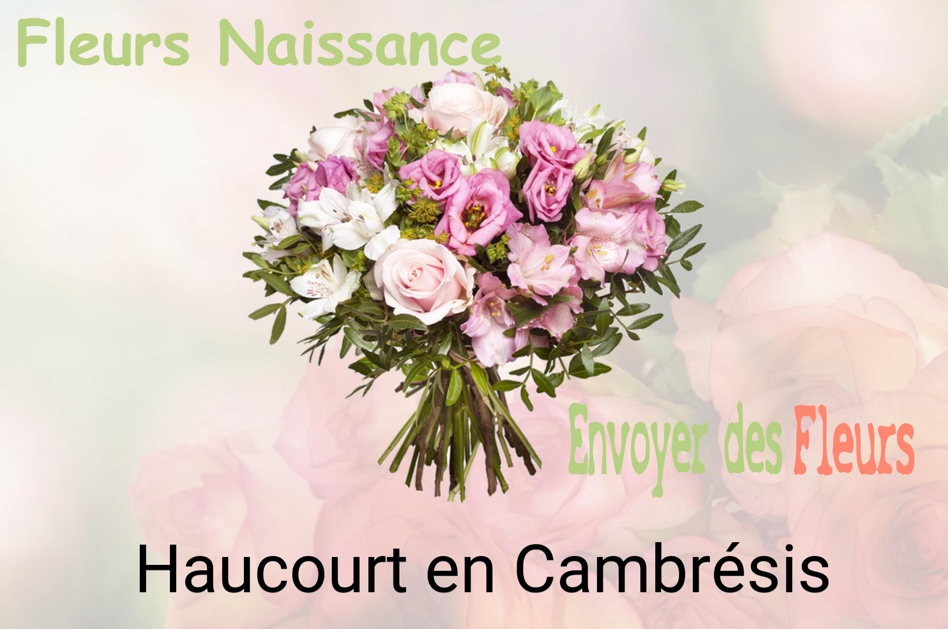 Bouquet de fleurs de naissance livré à Haucourt-en-Cambrésis